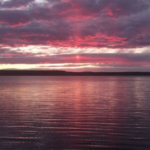 Meet your Posher, Sean